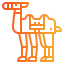 Dromedary icon 64x64