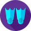 Flippers icon 64x64