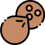 Coconut icon 64x64