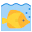 Fish 图标 64x64