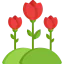 Tulips іконка 64x64