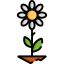 Flower icon 64x64