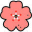 Cherry blossom icon 64x64