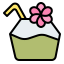 Coconut drink 图标 64x64