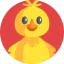 Chick icon 64x64