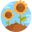 Sunflower icon 64x64