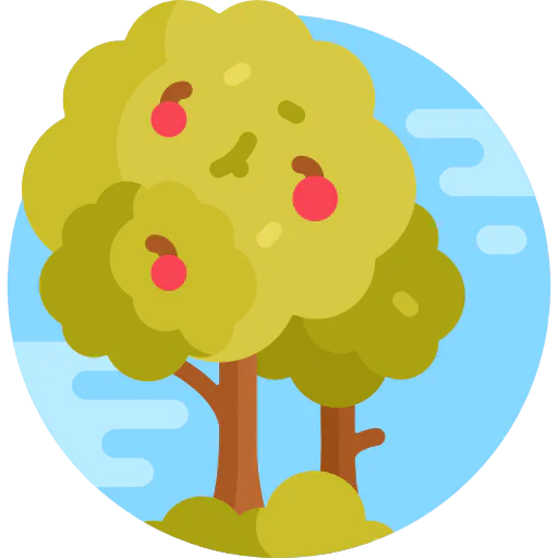 Apple tree icon