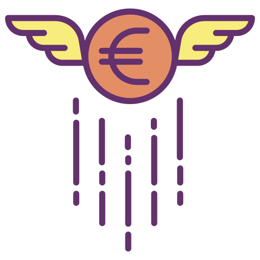 Euro symbol icon