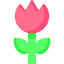 Macro icon 64x64