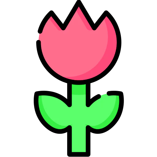 Macro icon