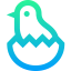 Chick icon 64x64