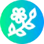 Branch icon 64x64