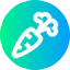 Carrot icon 64x64