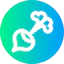 Radish icon 64x64