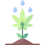 Cultivation icon 64x64