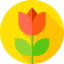 Тюльпан иконка 64x64