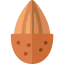 Almond icon 64x64