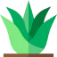 Aloe vera アイコン 64x64