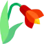 Amaryllis アイコン 64x64