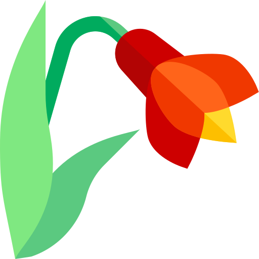 Amaryllis icon