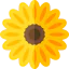 Sunflower アイコン 64x64