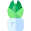 Succulent アイコン 64x64