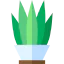 Sansevieria アイコン 64x64