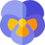 Violet アイコン 64x64