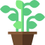 Plant アイコン 64x64