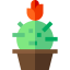 Cactus アイコン 64x64