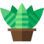Sansevieria trifasciata アイコン 64x64