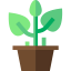 Plant アイコン 64x64