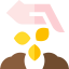 Seeds アイコン 64x64