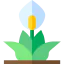 Peace lily アイコン 64x64