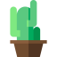 Cactus アイコン 64x64