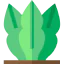 Snake plant アイコン 64x64