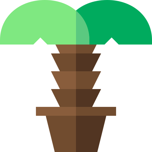 Palm tree 상