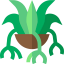 Spider plant アイコン 64x64