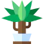 Dracaena アイコン 64x64