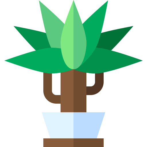 Dracaena icon