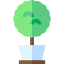 Myrtus アイコン 64x64