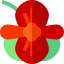 Begonia アイコン 64x64