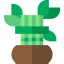 Bamboo アイコン 64x64