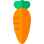Carrot icon 64x64