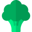 Broccoli icon 64x64