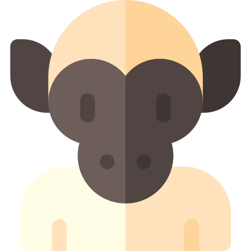Monkey icon