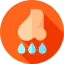 Runny nose icon 64x64