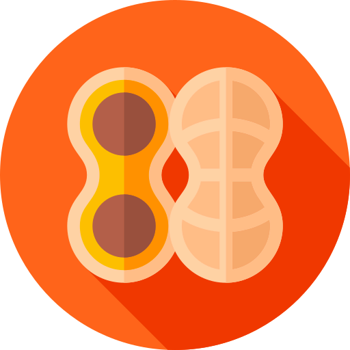 Nut icon