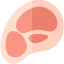 Barbecue icon 64x64