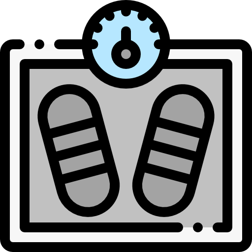Scale icon